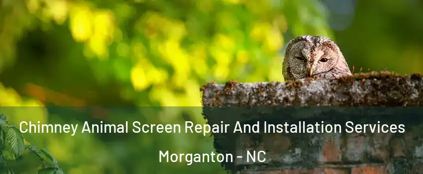  Chimney Animal Screen Repair And Installation Services Morganton - NC