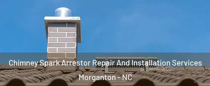  Chimney Spark Arrestor Repair And Installation Services Morganton - NC