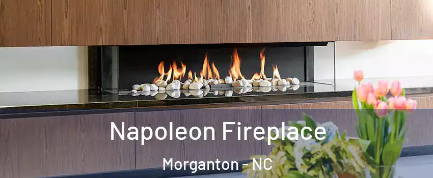  Napoleon Fireplace Morganton - NC